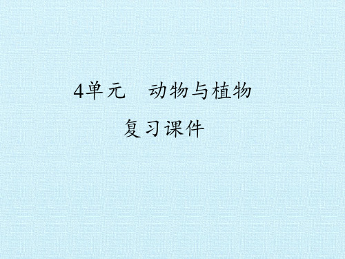 一年级下- 动物与植物 复习课件( 苏教版 30张ppt)