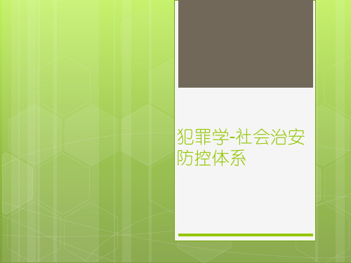 犯罪学ppt