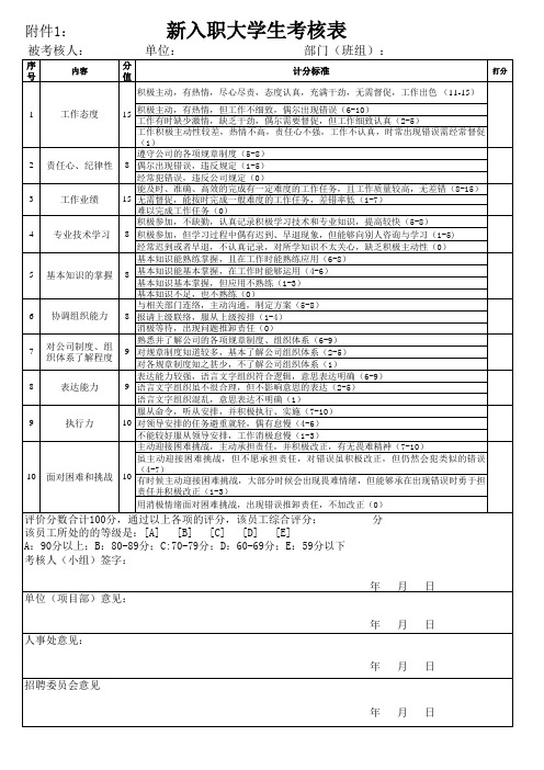 新入职大学生试用考核表