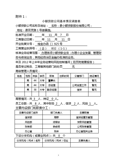 小额贷款公司现场检查方案