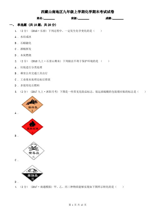 西藏山南地区九年级上学期化学期末考试试卷