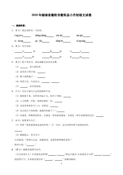 2020年湖南省衡阳市衡阳县小升初语文试卷(含解析)印刷版