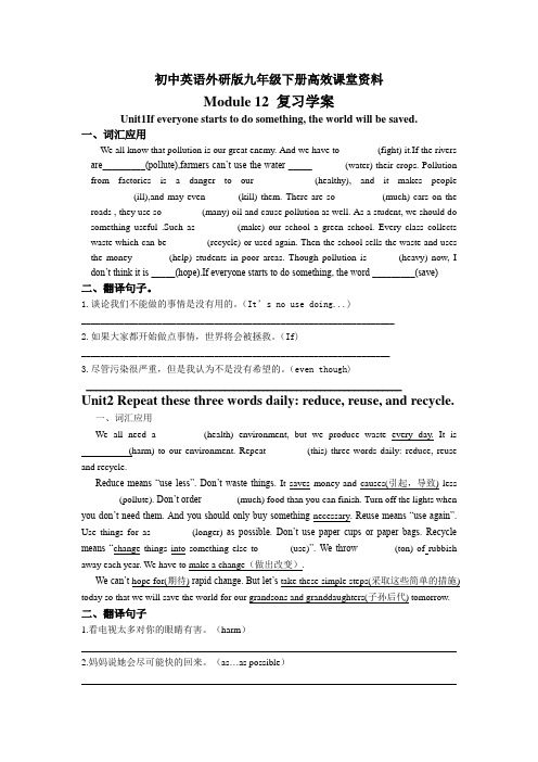 初中英语外研版九年级下册高效课堂资料Module 12 复习学案