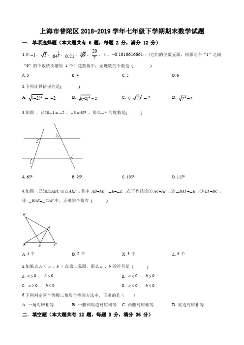 上海市普陀区2018-2019学年七年级下学期期末数学试题(含答案)