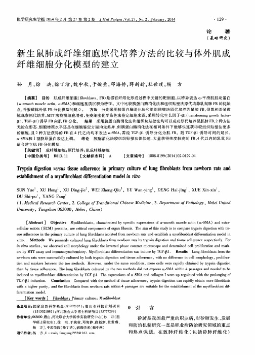 新生鼠肺成纤维细胞原代培养方法的比较与体外肌成纤维细胞分化模型的建立