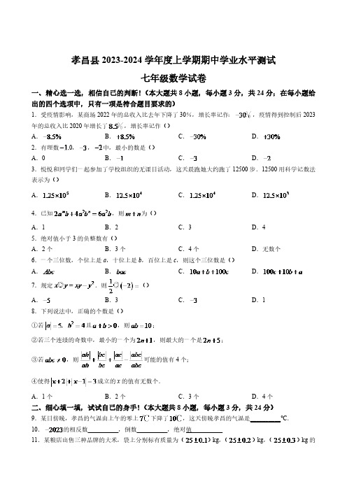 湖北省孝感市孝昌县2023-2024学年七年级上学期期中学业水平测试数学试卷(含答案)