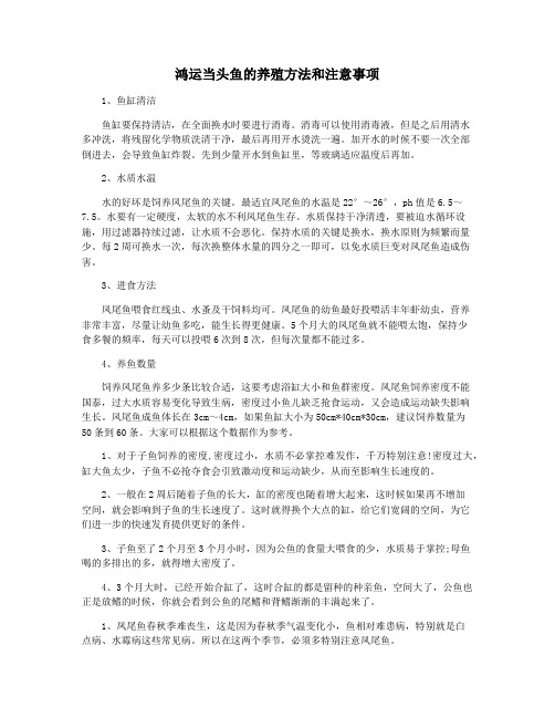 鸿运当头鱼的养殖方法和注意事项