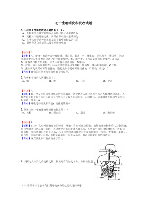 初一生物消化和吸收试题
