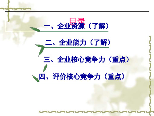 战略分析—内部资源、能力与核心竞争力