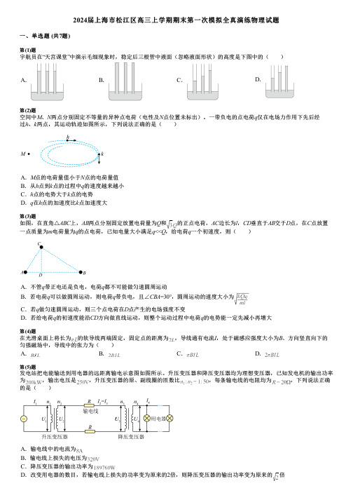 2024届上海市松江区高三上学期期末第一次模拟全真演练物理试题