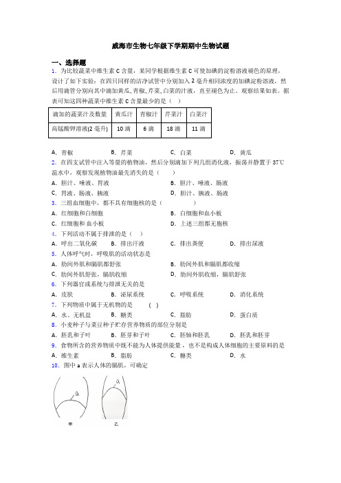 威海市生物七年级下学期期中生物试题