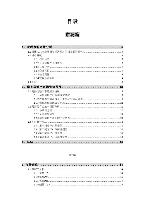 房地产大盘发展策略报告(DOC 104页)