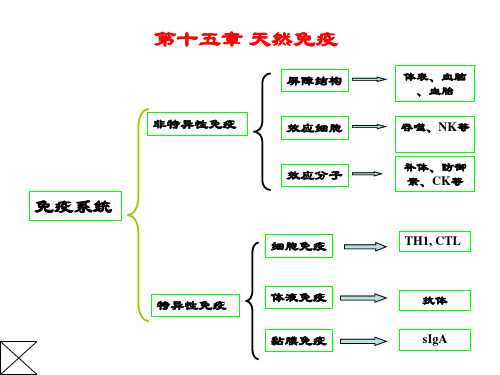 免疫学第十五章-天然免疫