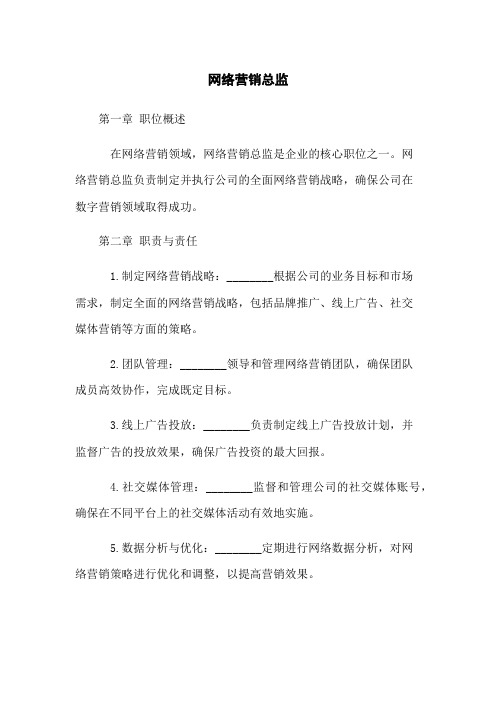 网络营销总监