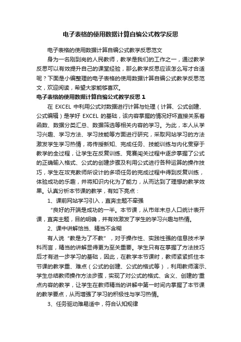 电子表格的使用数据计算自编公式教学反思范文