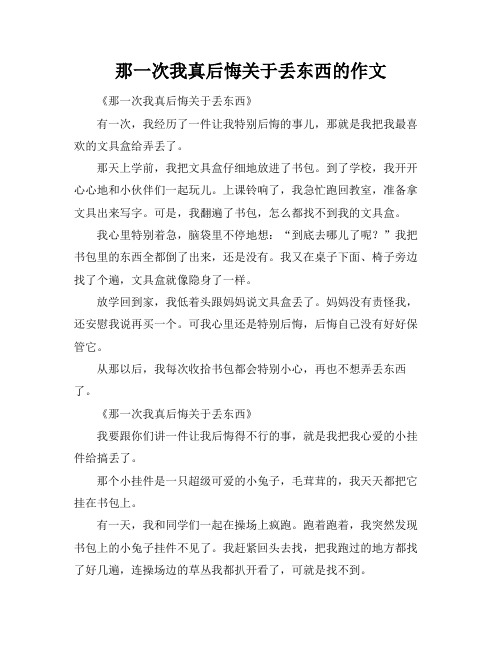 那一次我真后悔关于丢东西的作文