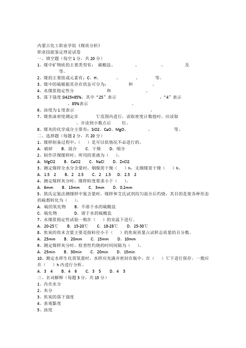 煤质分析12