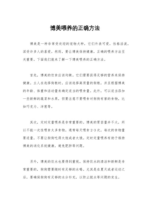 博美喂养的正确方法