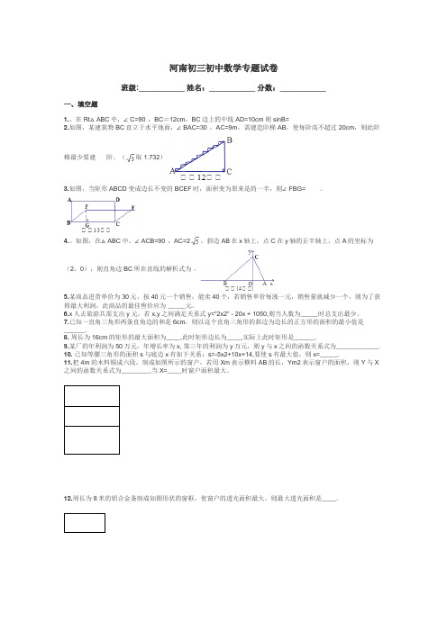 河南初三初中数学专题试卷带答案解析
