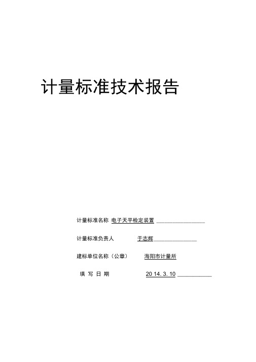 电子天平检定装置技术报告