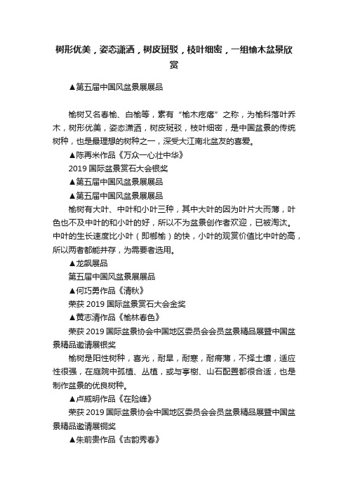 树形优美，姿态潇洒，树皮斑驳，枝叶细密，一组榆木盆景欣赏