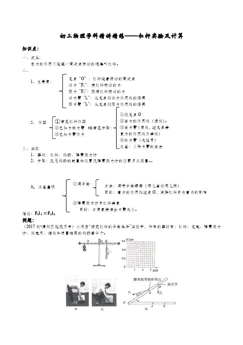 初三物理学科精讲精练--杠杆实验及计算