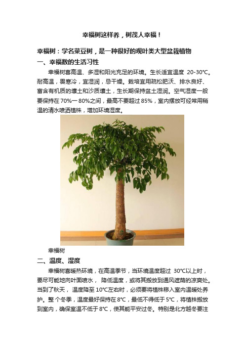 幸福树这样养，树茂人幸福！