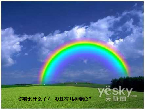 北师大版三年级语文爱什么颜色