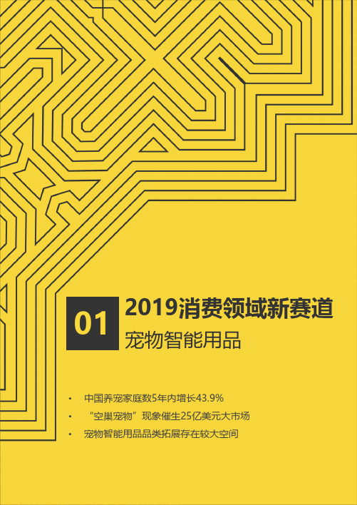 2019-2020新兴行业之宠物智能用品消费及投资研究报告