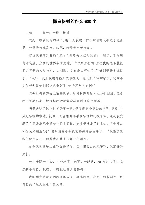 一棵白杨树的作文600字