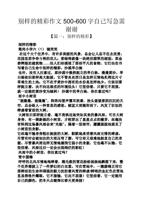 自己作文之别样的精彩作文500-600字自己写急需谢谢