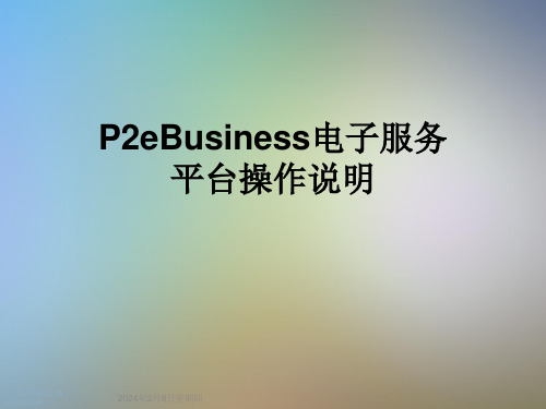 P2eBusiness电子服务平台操作说明