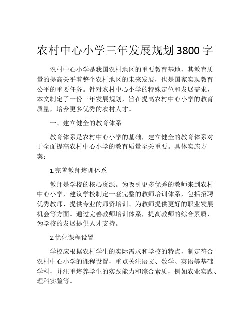 农村中心小学三年发展规划3800字