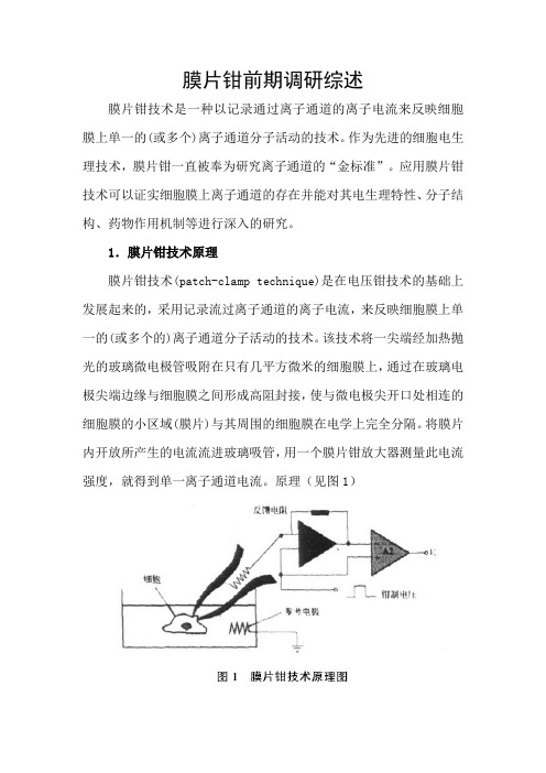 膜片钳前期调研综述