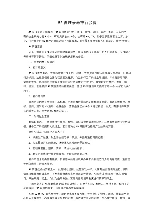 5S管理素养推行步骤