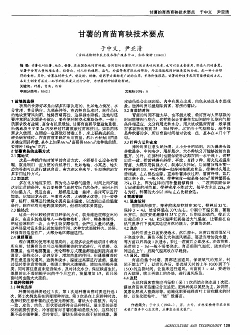 甘薯的育苗育秧技术要点