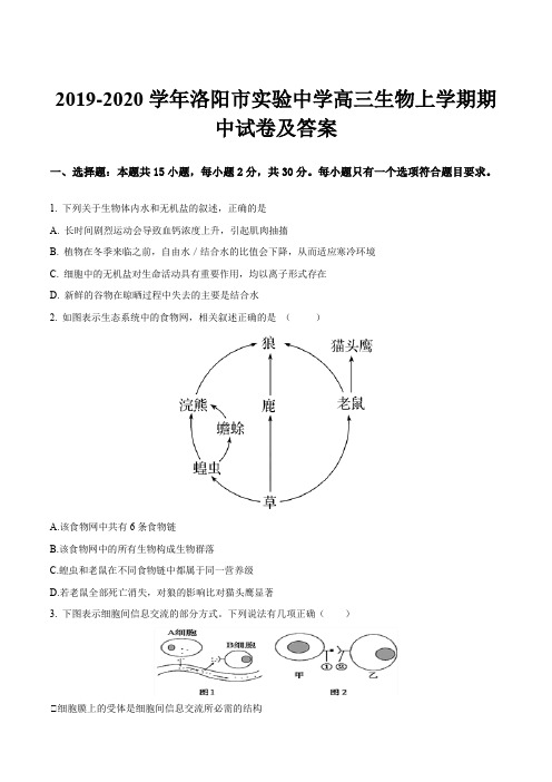 2019-2020学年洛阳市实验中学高三生物上学期期中试卷及答案