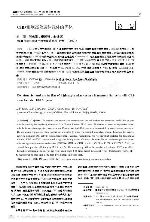 CHO细胞高效表达载体的优化