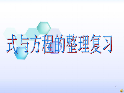 北师大版六年级数学下册《式与方程》ppt课件