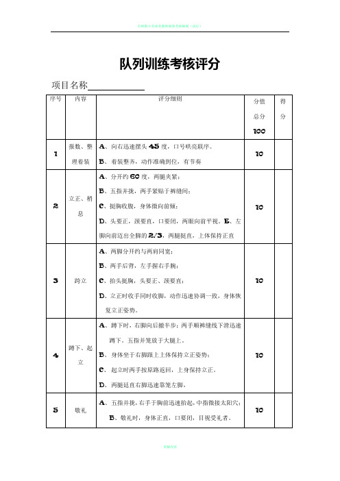 队列训练考核标准