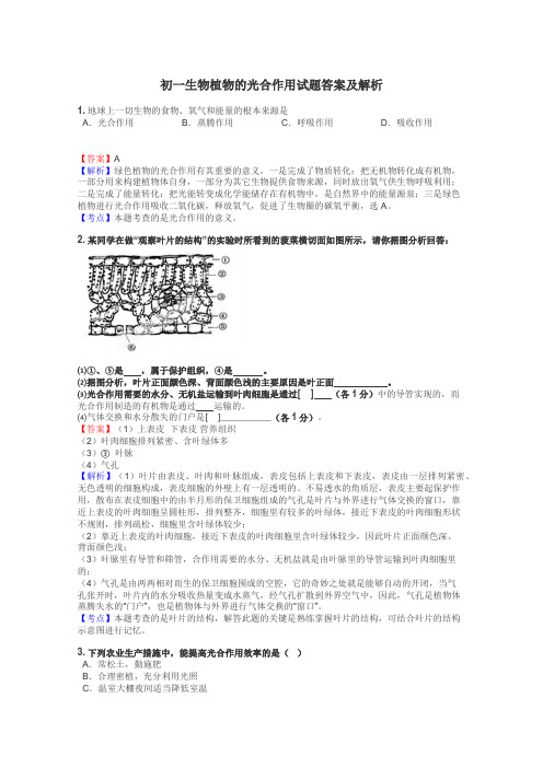 初一生物植物的光合作用试题答案及解析
