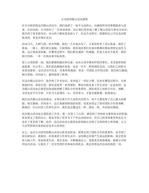 公司组织爬山活动感想