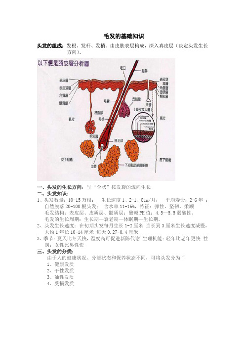 毛发知识