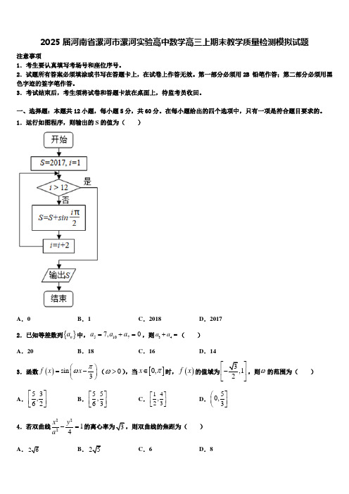 2025届河南省漯河市漯河实验高中数学高三上期末教学质量检测模拟试题含解析