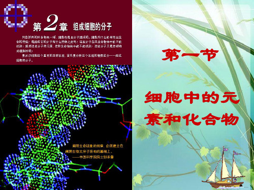 高中生物人教版必修一第二章第一节 PPT课件 图文