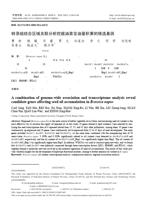 转录组结合区域关联分析挖掘油菜含油量积累的候选基因