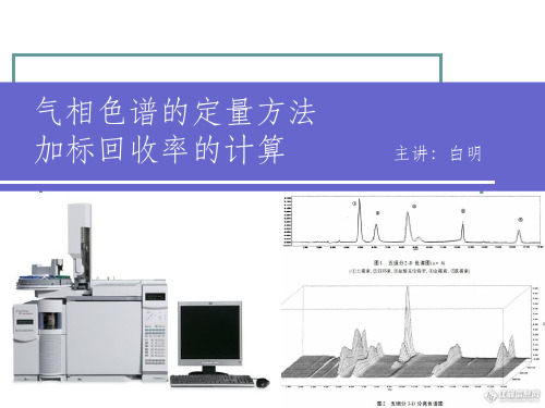 气相色谱定量方法及加标回收率的计算