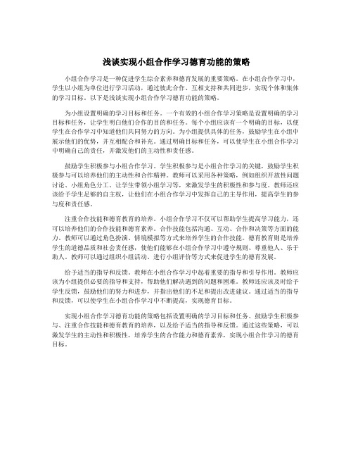 浅谈实现小组合作学习德育功能的策略