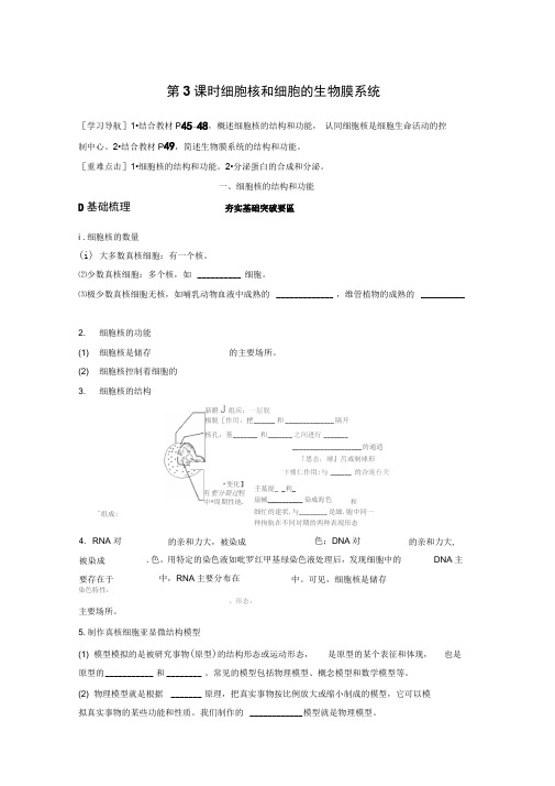 2018版高中生物苏教版必修一学案：3.2.3细胞核和细胞的生物膜系统