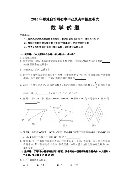 2010年湖北省恩施自治州初中毕业及高中招生考试数学试题